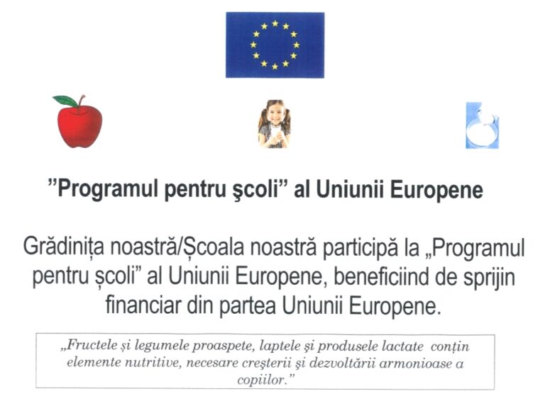 Afiș de proiect finanțat de Uniunea Europeană